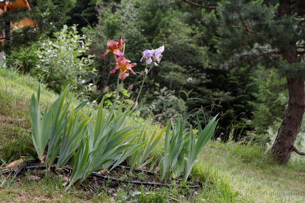 20140623_074